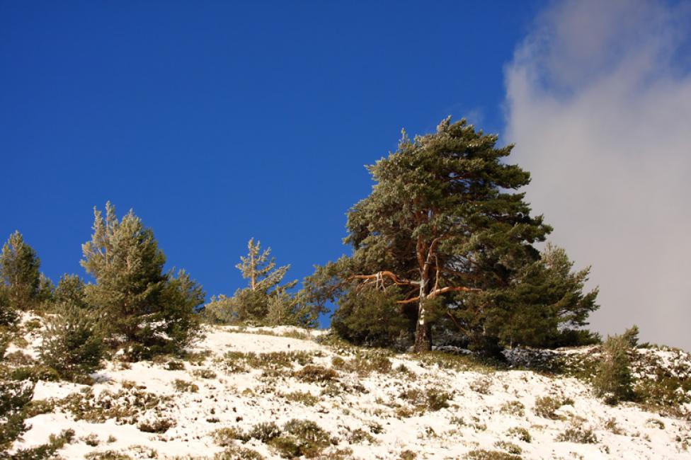 Contrastes en la montaña